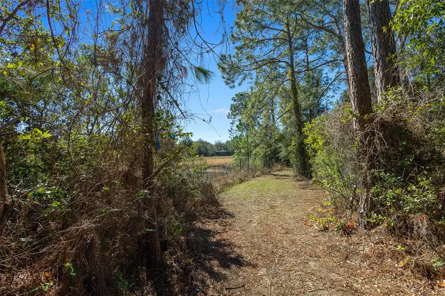 18434 SE 24th Street, Silver Springs, FL 34488 - #3