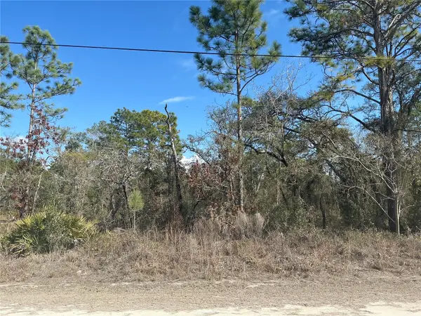 11072 Hyde Street, WEEKI WACHEE, FL 34614