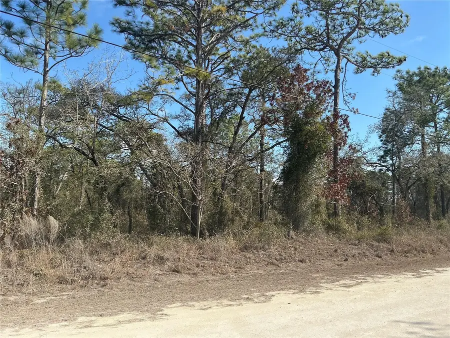 11072 Hyde Street, Weeki Wachee, FL 34614 - #3