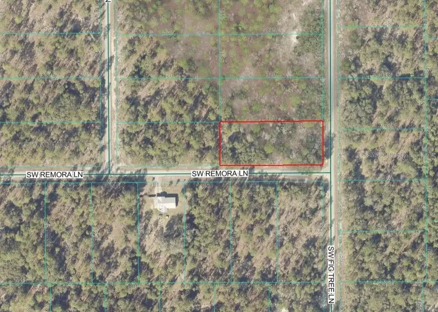 Lot 10 SW Fig Tree Lane, Dunnellon, FL 34431 - #2