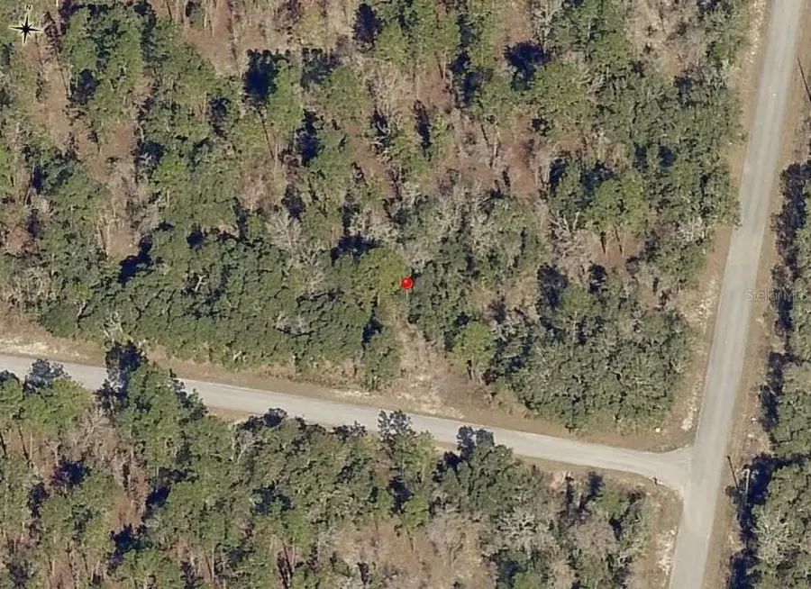 Lot 10 SW Fig Tree Lane, Dunnellon, FL 34431 - #3