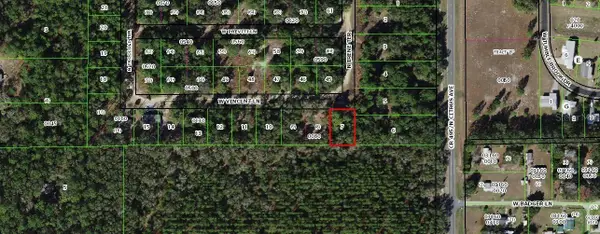 8100 W Vincent Lane, CRYSTAL RIVER, FL 34428