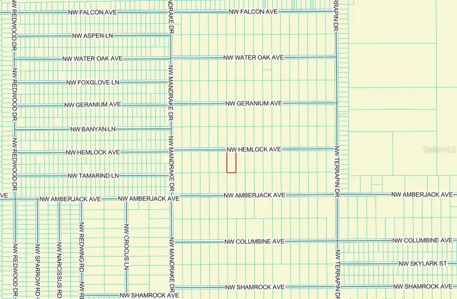 Lot 7 NW Hemlock Avenue, Dunnellon, FL 34431 - #3
