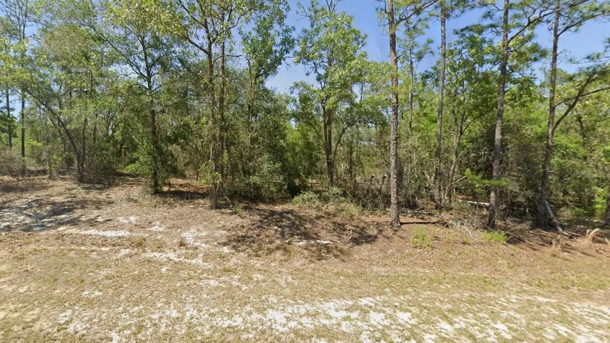 00 SW Rainbow Lakes Boulevard, Dunnellon, FL 34431 - #1