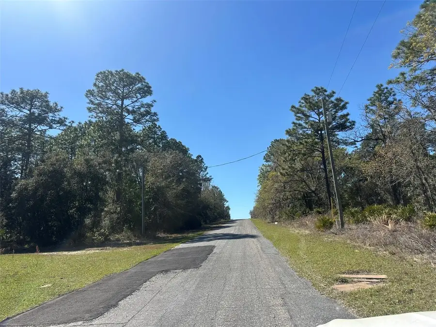 833 W Champlain Lane, Citrus Springs, FL 34434 - #2