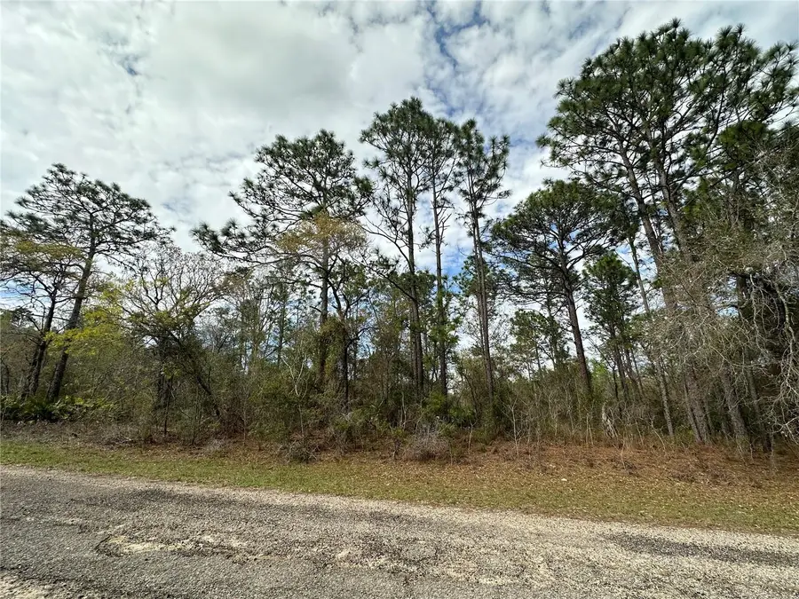 1639 W Pendleton Street, Dunnellon, FL 34434 - #2