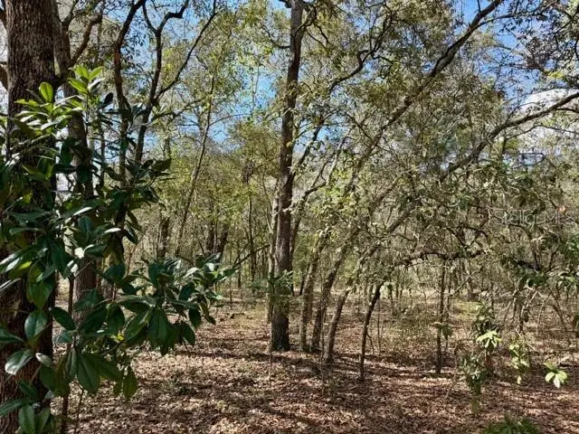 TBA SE 66th Place, Morriston, FL 32668 - #2