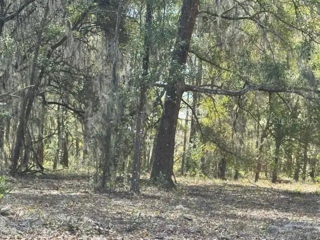 0 NE 141st Street, Citra, FL 32113 - #3