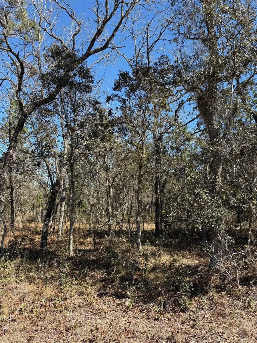 TBA SE 134th Terrace Terrace, Dunnellon, FL 34431 - #1