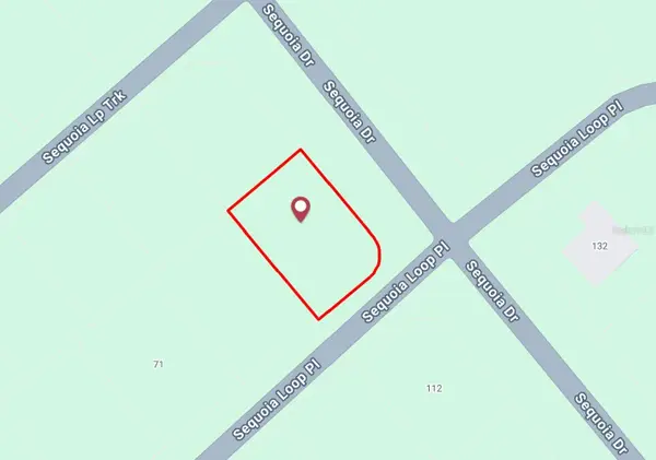 Sequoia Loop, OCKLAWAHA, FL 32179