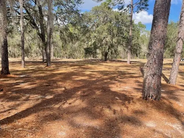 4060 SW 166th Court, Ocala, FL 34481 - #3