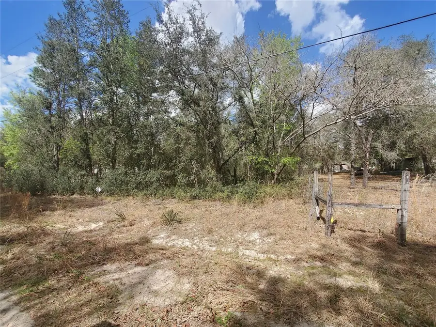 TBD NE 172nd Place, Fort McCoy Anthony, FL 32134 - #2