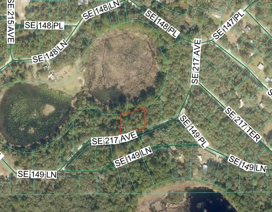 TBD SE 217th Avenue, Umatilla, FL 32784 - #1