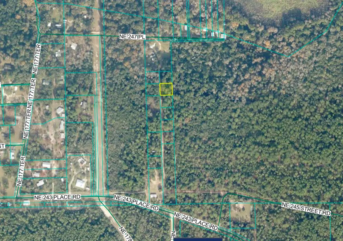 TBD No Situs, Fort McCoy, FL 32134 - #1