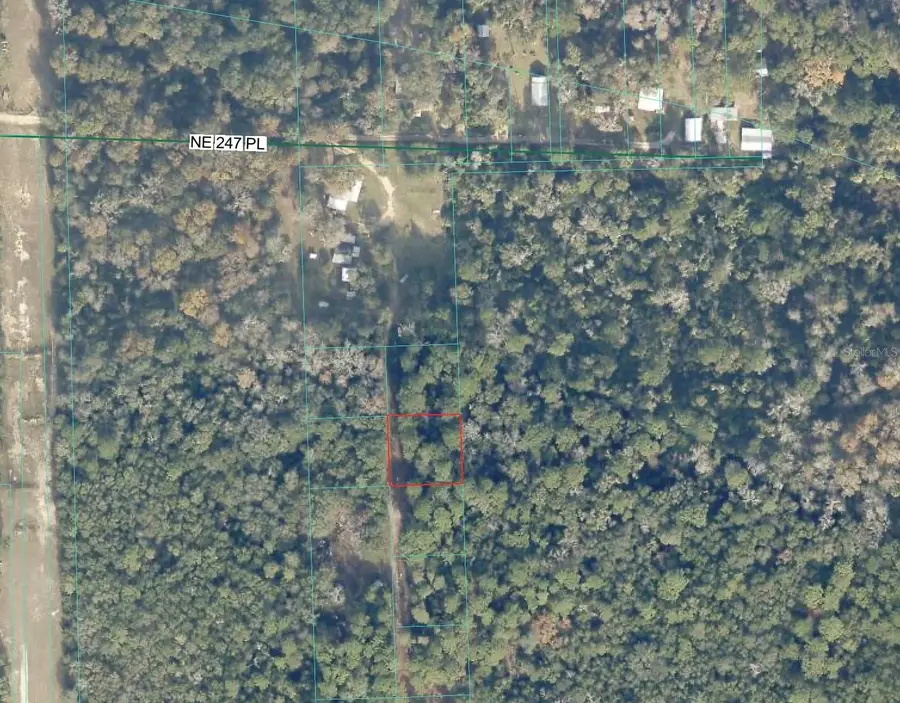 TBD No Situs, Fort McCoy, FL 32134 - #2