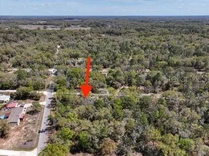 (tbd) Ne 54, Williston, FL 32696 - #3