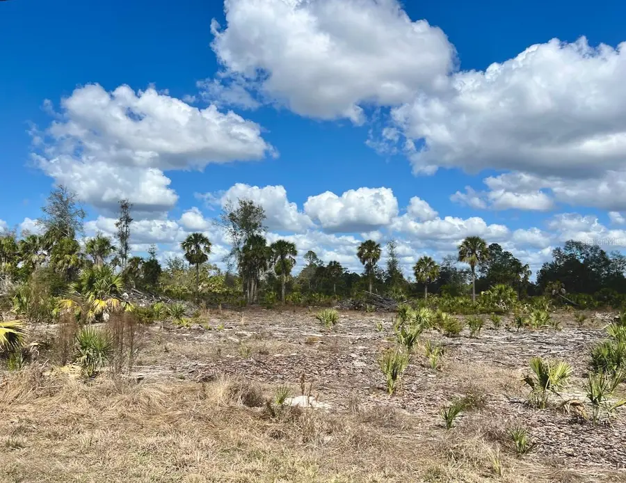 Shiloh Road, Cedar Key, FL 32625 - #2