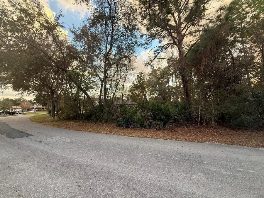 8 Mangrove Court N, Homosassa, FL 34446 - #2