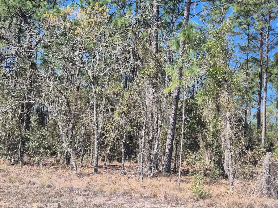 00 NE 137th Avenue, Williston, FL 32696 - #2