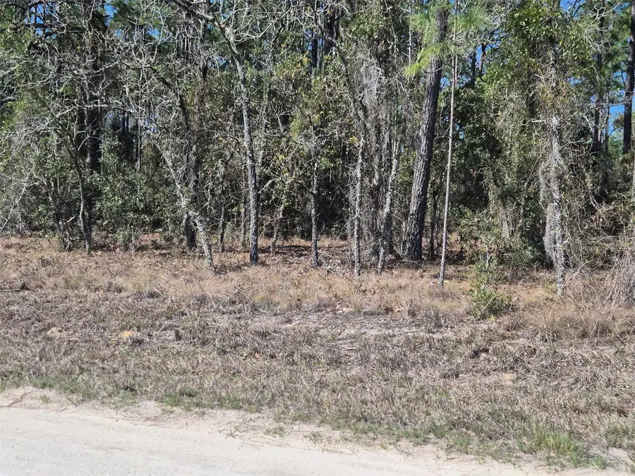 00 NE 137th Avenue, Williston, FL 32696 - #3