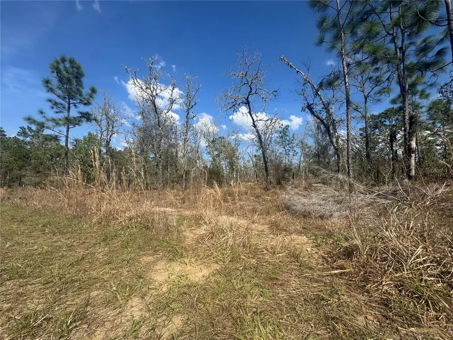 tbd NE 155th Avenue, Williston, FL 32696 - #3