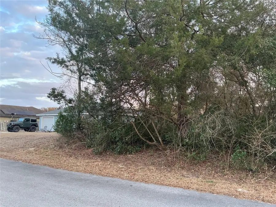 SW 138th Street, Ocala, FL 34473 - #3