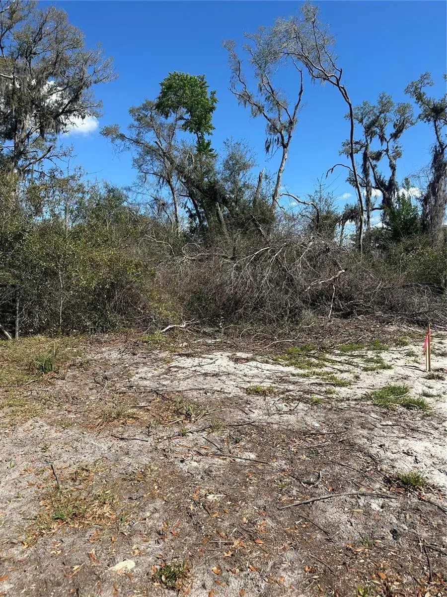 NE 688th Avenue, Cross City, FL 32628 - #2