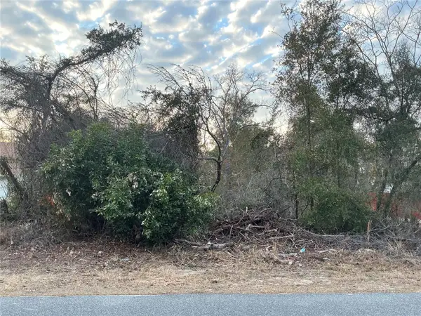 13823 SW 43rd Circle, OCALA, FL 34473