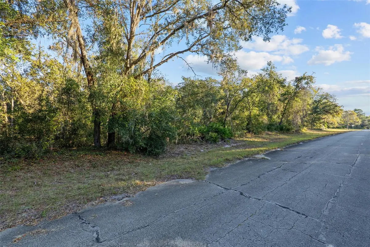 TBD SW 174 Place, Ocala, FL 34473 - #1