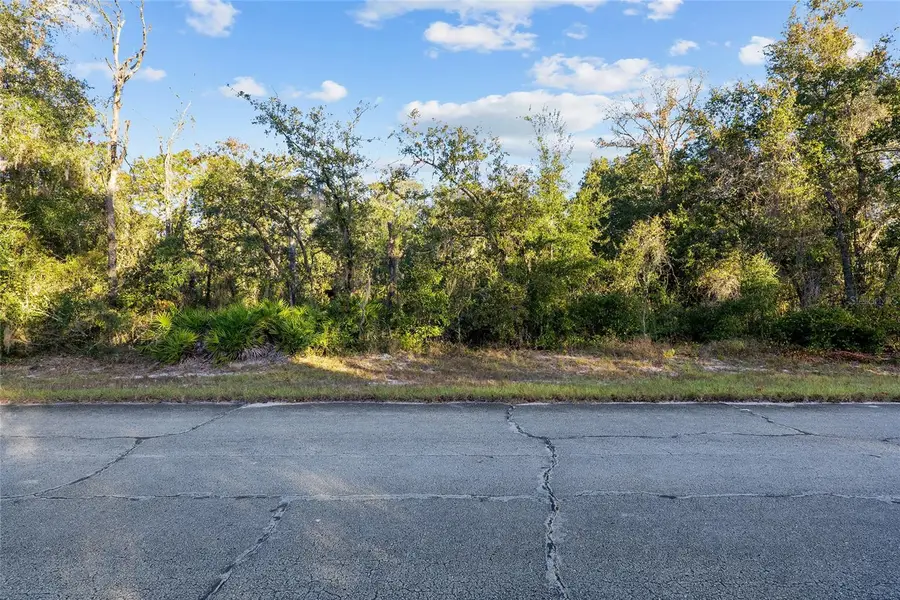 TBD SW 174 Place, Ocala, FL 34473 - #2