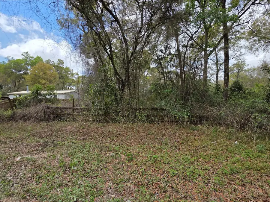 00 SE 30th Avenue, Summerfield, FL 34491 - #2