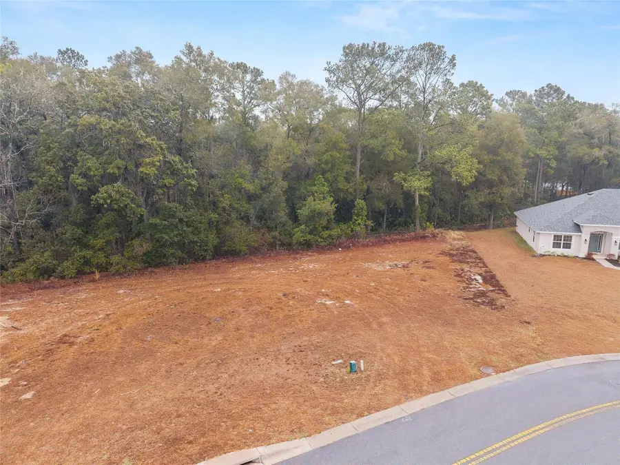 TBD NE 58th Circle, Silver Springs, FL 34488 - #3