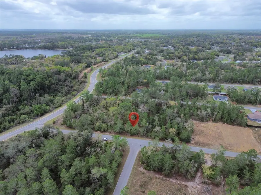 TBD Malauka Lane, Ocklawaha, FL 32179 - #3