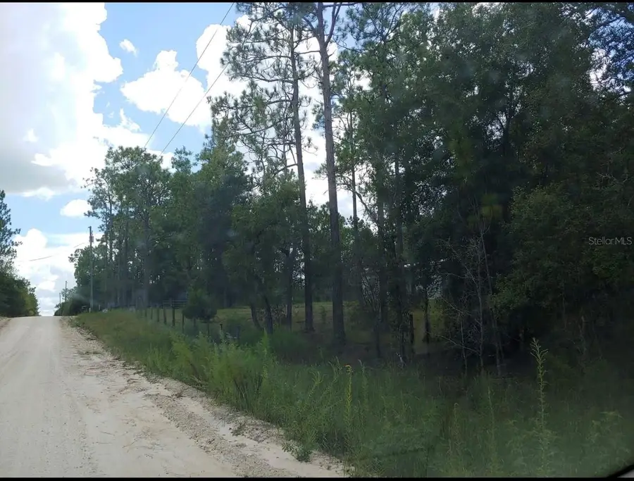 150th Avenue, Morriston, FL 32668 - #2