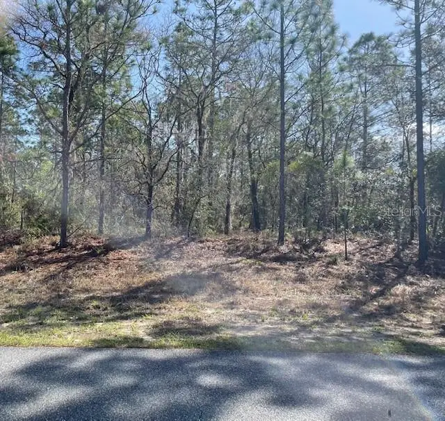 4707 N Sacramento Avenue, Beverly Hills, FL 34465 - #1