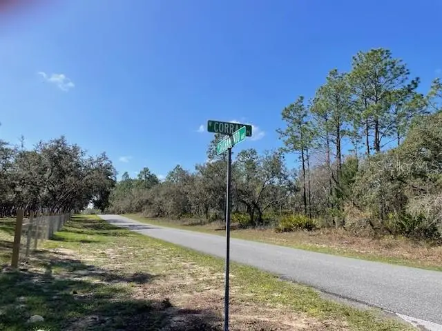 4707 N Sacramento Avenue, Beverly Hills, FL 34465 - #3