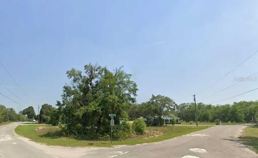 Lot 1 Maluka Radial, Ocklawaha, FL 32179 - #3