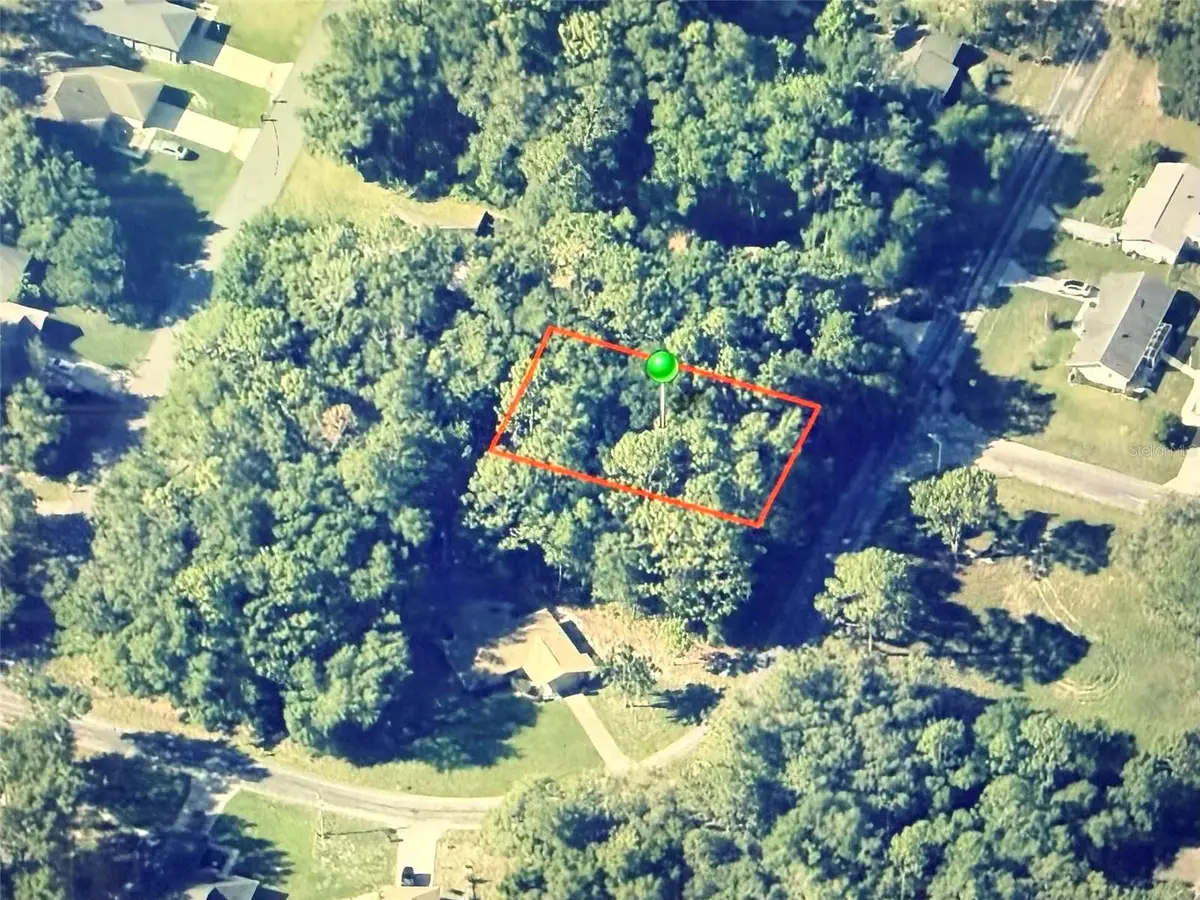 9948 N Sandree Drive, Citrus Springs, FL 34434 - #1