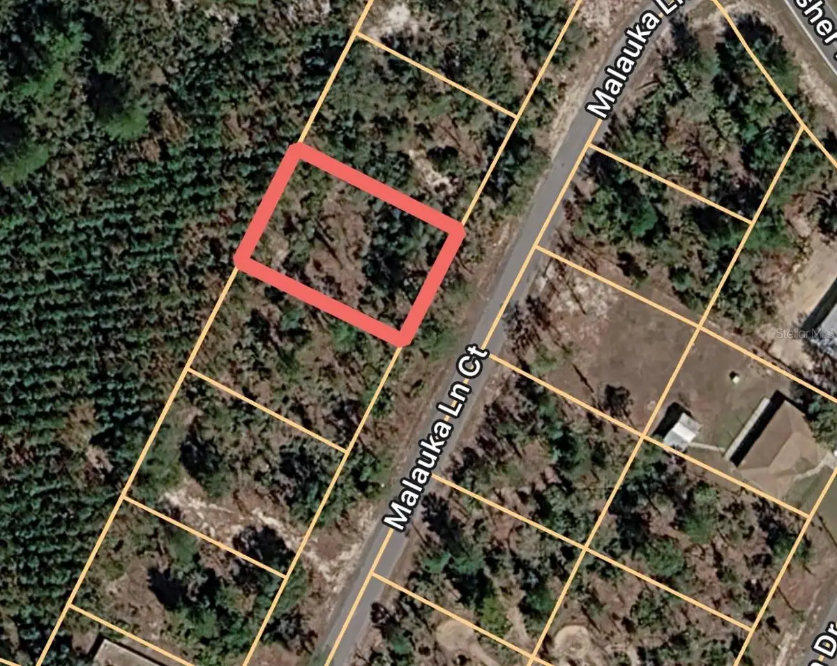 Malauka Lane Court, Ocklawaha, FL 32179 - #1