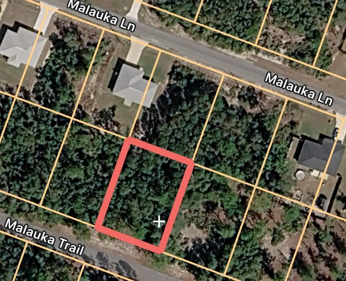 Malauka Trail, Ocklawaha, FL 32179 - #1