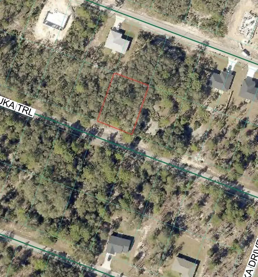 Malauka Trail, Ocklawaha, FL 32179 - #3