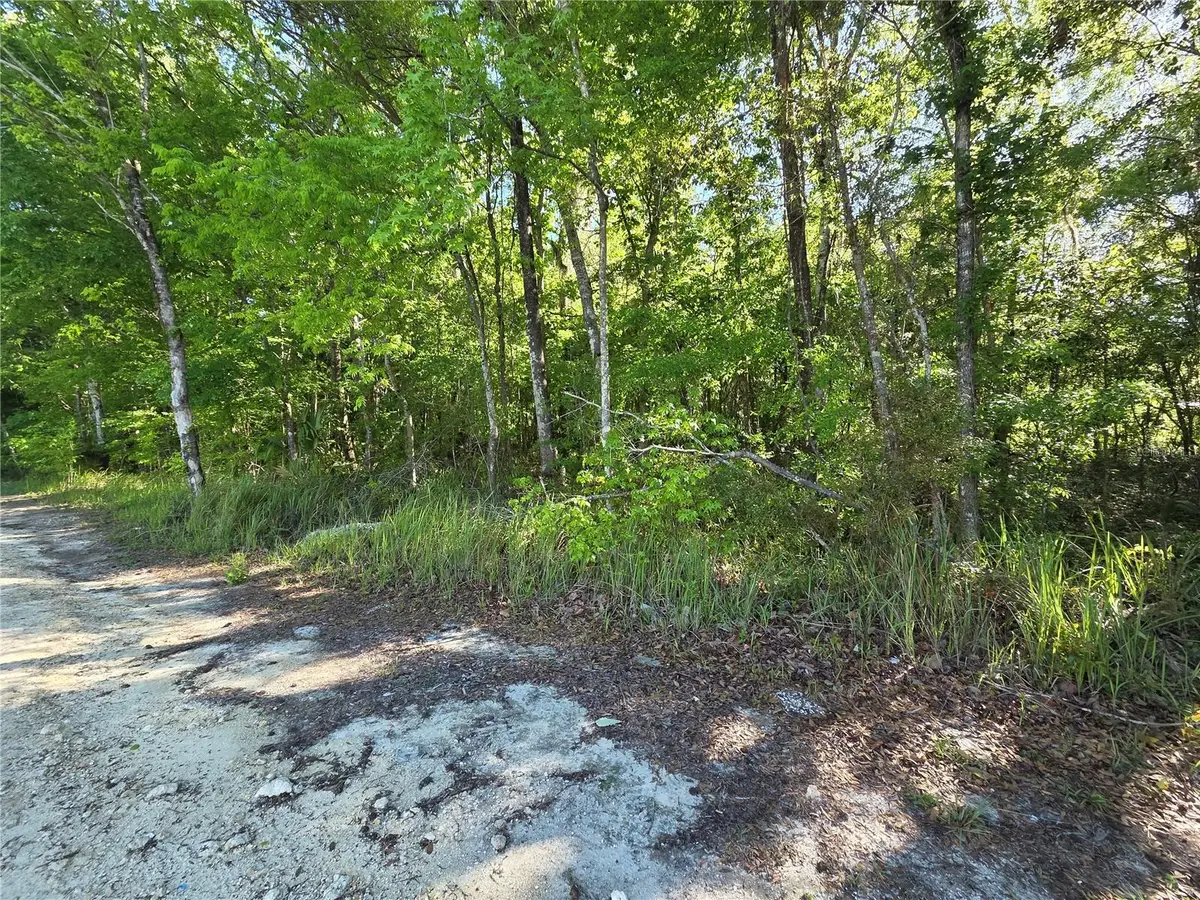 0000 SE 42nd Court, Belleview, FL 34420 - #1
