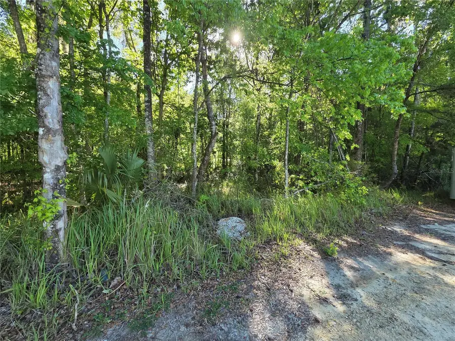 0000 SE 42nd Court, Belleview, FL 34420 - #2
