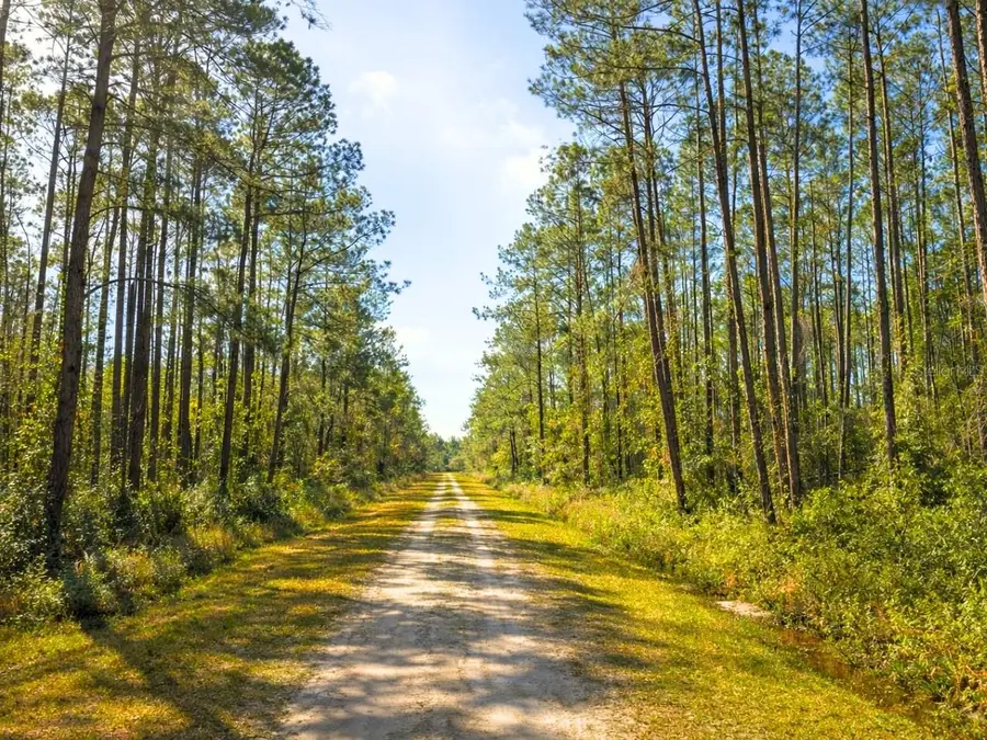 10675 Delgado Avenue, Hastings, FL 32145 - #2