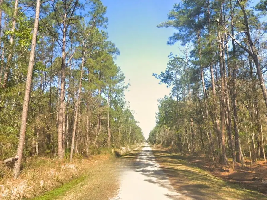 10675 Delgado Avenue, Hastings, FL 32145 - #3