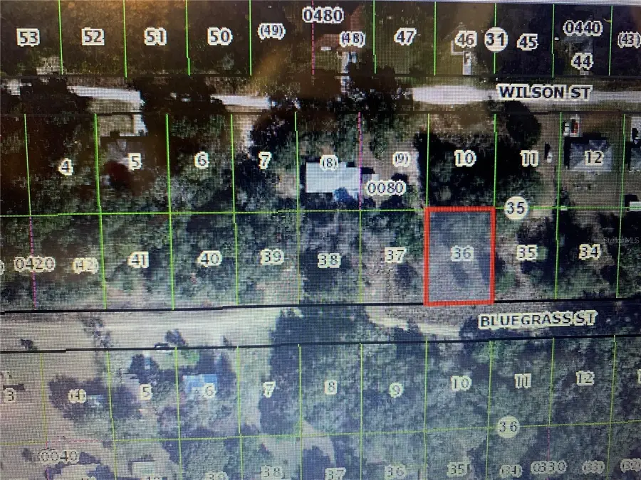 2406 Bluegrass Street, Inverness, FL 34453 - #2