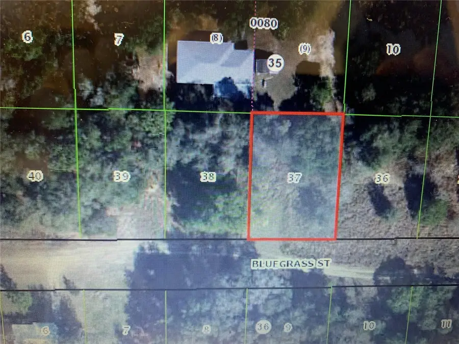 2408 Bluegrass Street, Inverness, FL 34453 - #2