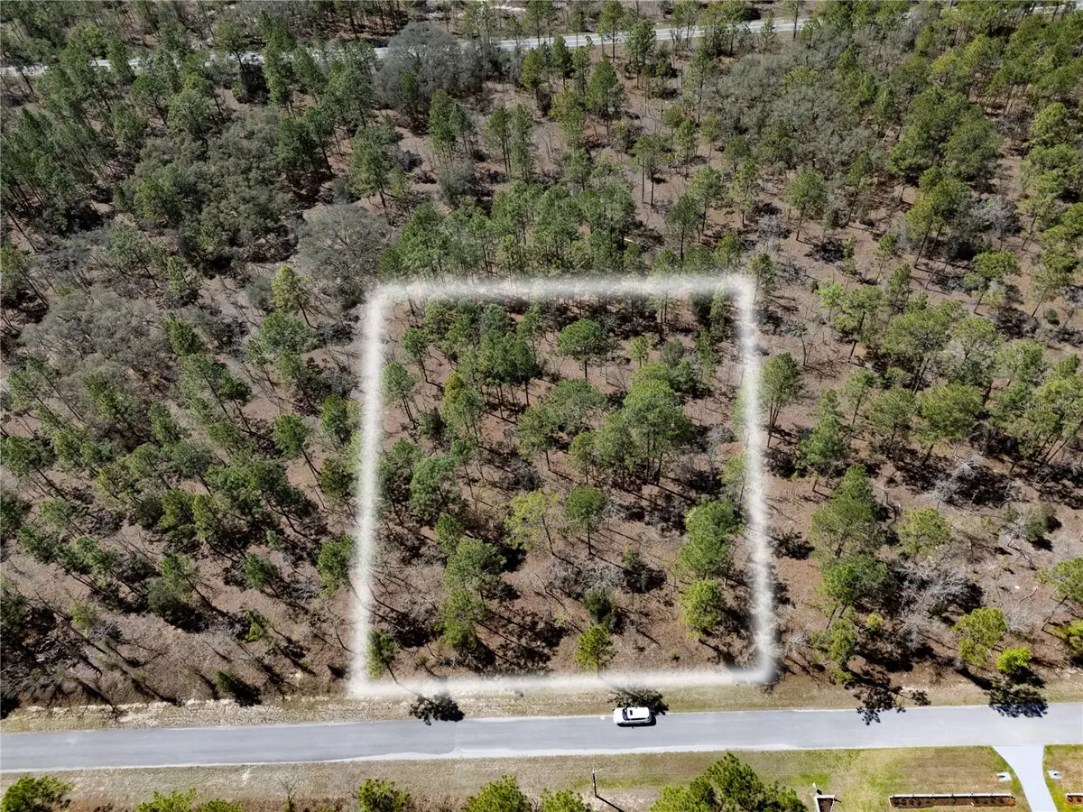 Holly Rd, Dunnellon, FL 34432 - #1