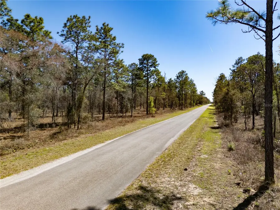 Holly Rd, Dunnellon, FL 34432 - #2