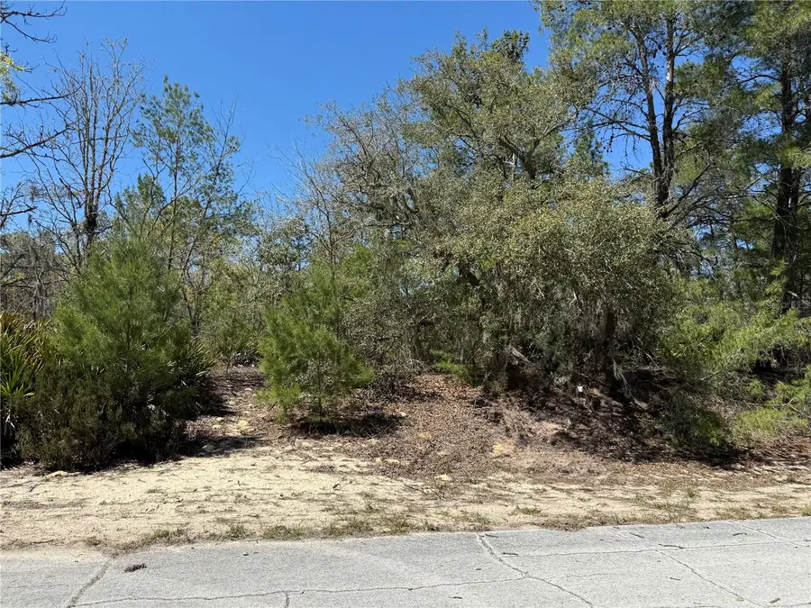 10762 N Moreno Drive, Dunnellon, FL 34433 - #2